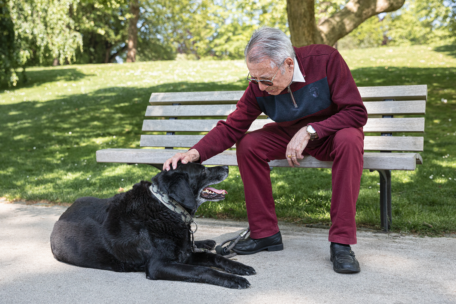 9-portrait-homme-animal-chien-melody-bucci-photographe-hauts-de-france-nord-pas-de-calais-la-bassée-haisnes-douvrin-salomé-cuinchy-lens-béthune-lille-loos-en-gohelle-parc-barbieux-roubaix