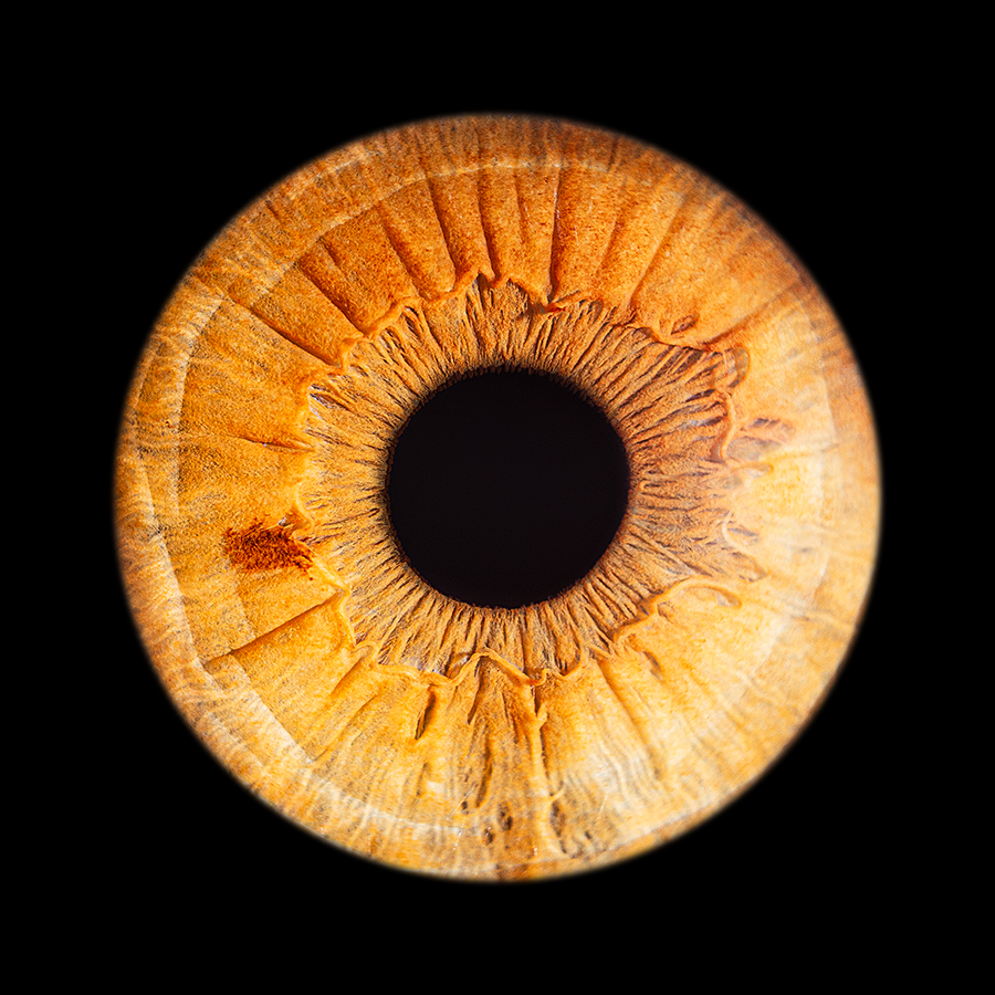 Iris Photographie Hauts-de-France Auchy-les-mines Lille La Bassée Lens Béthune
