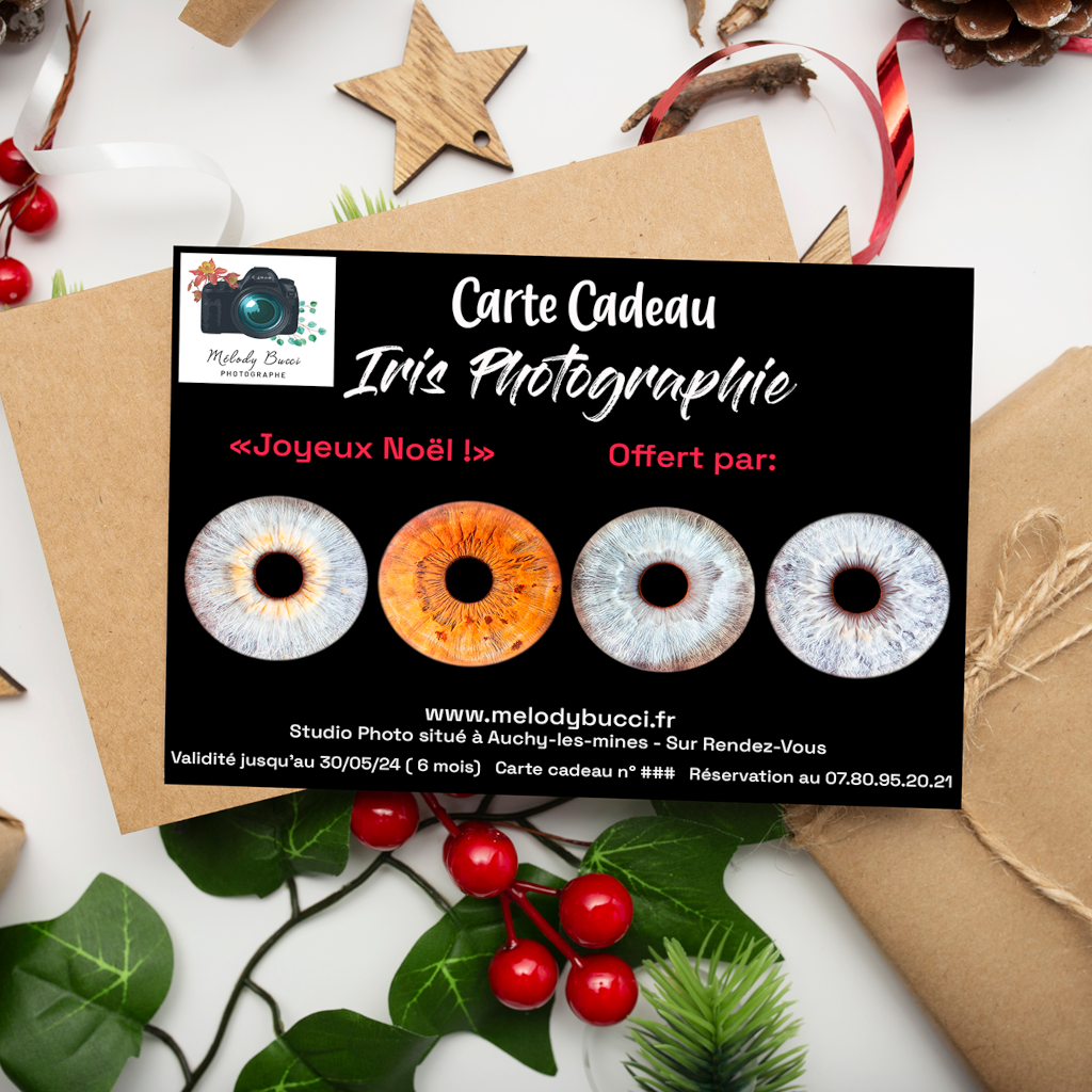 Idée de Cadeau Original à glisser sous le sapin